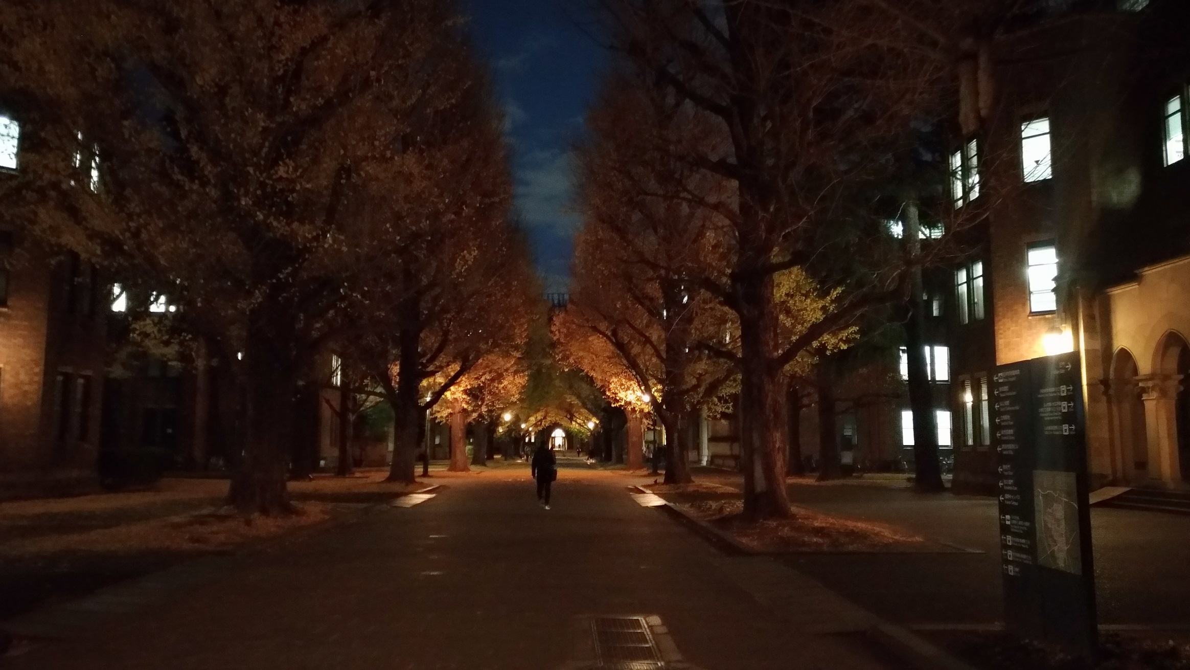 大学が決まりました！！